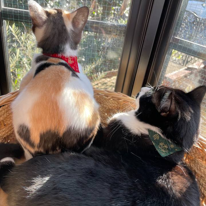 F67a19ce 9b9a 4e50 833f 269d51245c46 1700350535059