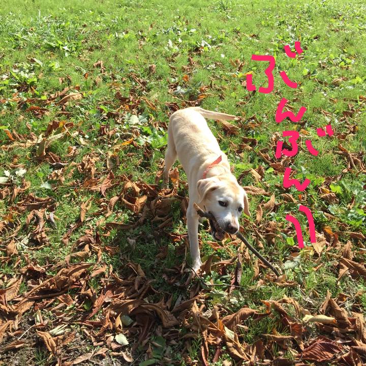 F67a5de0 6e7c 4776 a074 a1994f711040 1508818402273