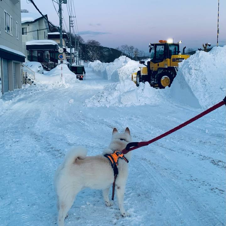 F67a7233 e352 4c4e 811e 4a0772c3ddfe 1673390620646