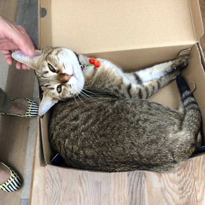 F67a75b3 80a2 4e92 9d5e 95fcf6173ce8 1630839415310