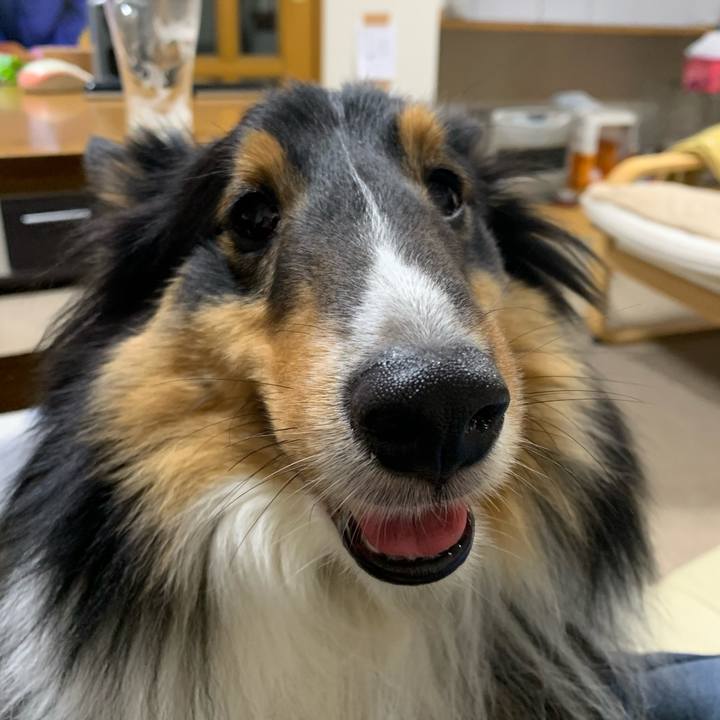 F67a98a7 cad6 4566 b7a4 cbdc4873b300 1582667643611