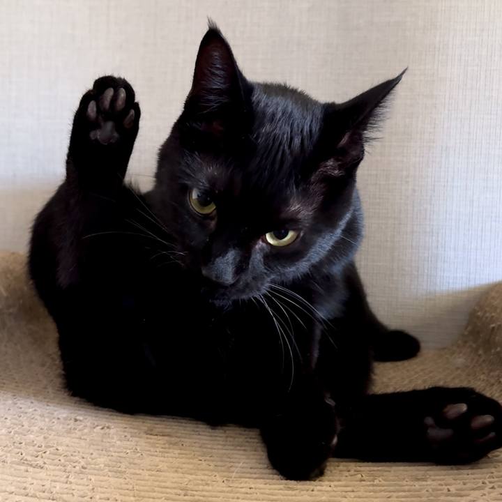 F67a9ec7 05ad 4cad ac38 11d689aef440 1757029511853