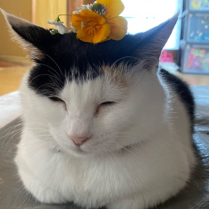 F67ab963 2227 453b 9262 ba871dbe935d 1653909672491