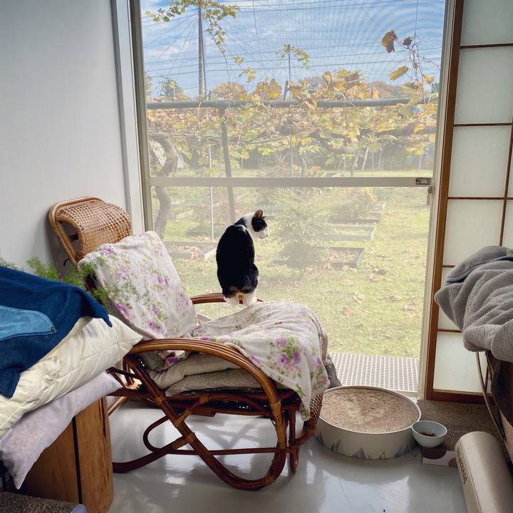 F67aca6d 6ba6 4358 89cf 878d8d974e30 1604802734205