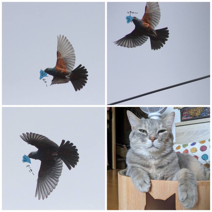 F67ace2d 3aeb 443a a060 ff2bb72f58a8 1685170799666