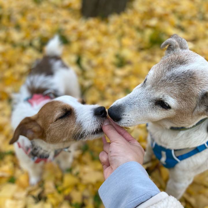 F67aeced 52f9 4e4c a62b 1f3c1087b4f2 1702182676078