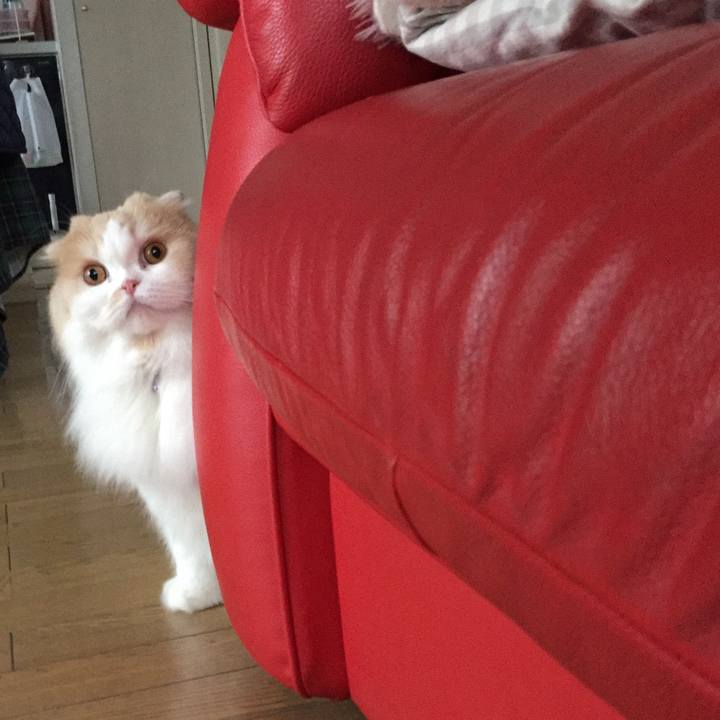 F67b030b 6e53 4318 941b 14c3d2bb272c 1516450950077