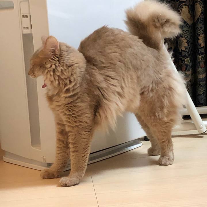 F67b095e 3ce4 4a52 9d52 58c06cef9e0d 1576975742568