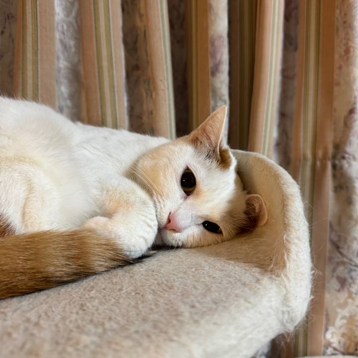 F67b2479 e368 4107 a497 09d1a479a03c 1768831202219