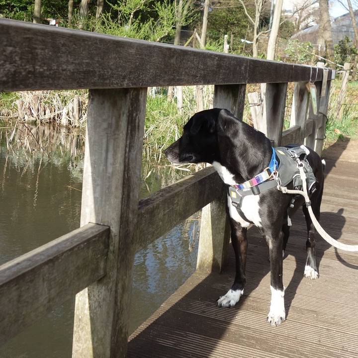 F67b8b5c 13f8 4ae1 acf7 4e7aac95b158 1648342752612