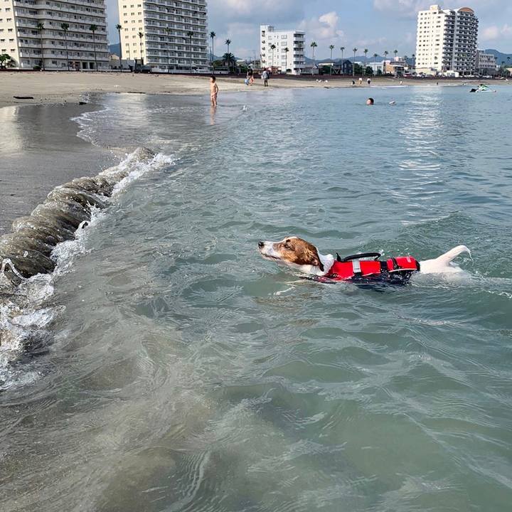 F67bcce1 a39c 447d bb23 d9f701a49f77 1600692951284