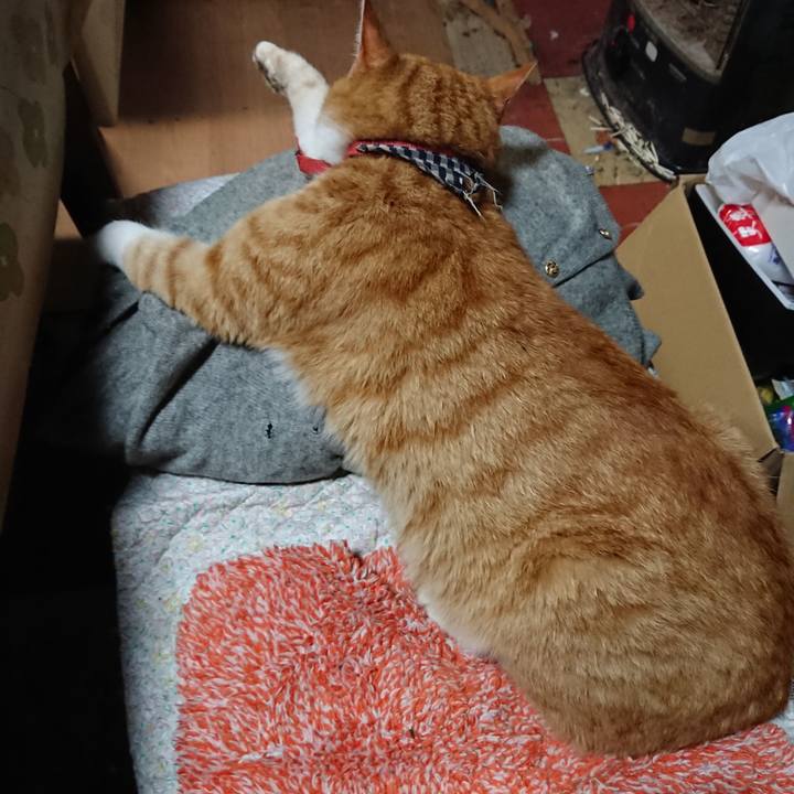 F67bd574 e631 42d6 968c 83b56a7ae5cd 1574161311374