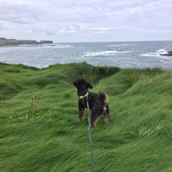 F67bd876 f3f3 4206 8ceb b2bda2d2cfa9 1559596191429