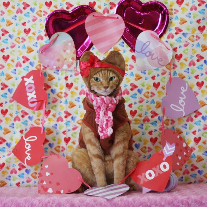 F67be848 bd97 4262 8f93 8b512878d605 1675678626378