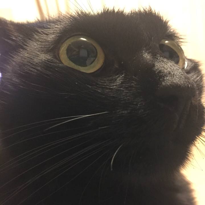 F67c04bc 9fd1 4ee9 8bfa a33a28c92b92 1507973191595