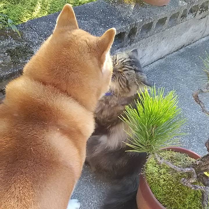 F67c2e2e 404d 460d be07 ecfdcc5cc80f 1665968711420