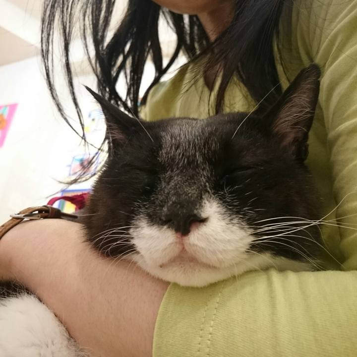 F67c3776 3980 4d56 a9fa 527512e2d2bb 1524907150789