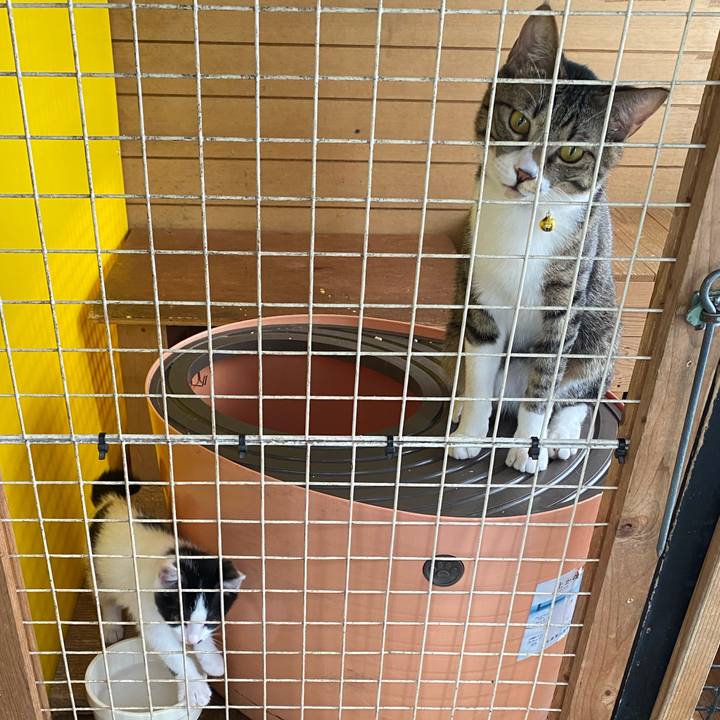 F67c6360 8b5d 4ee4 bd8c b13ac3b3d577 1653452960737