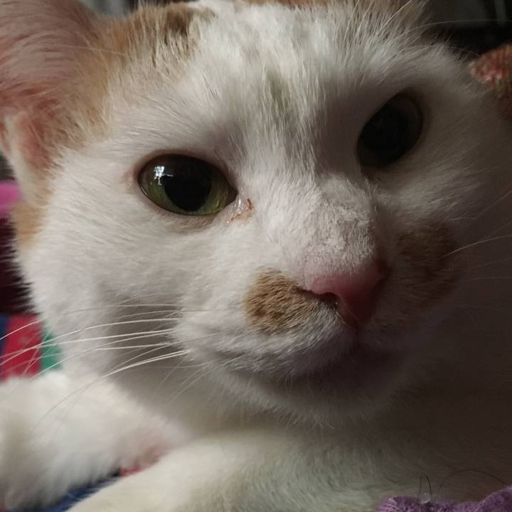 F67c6edd aa48 4022 a790 b64451368a88 1514172792572