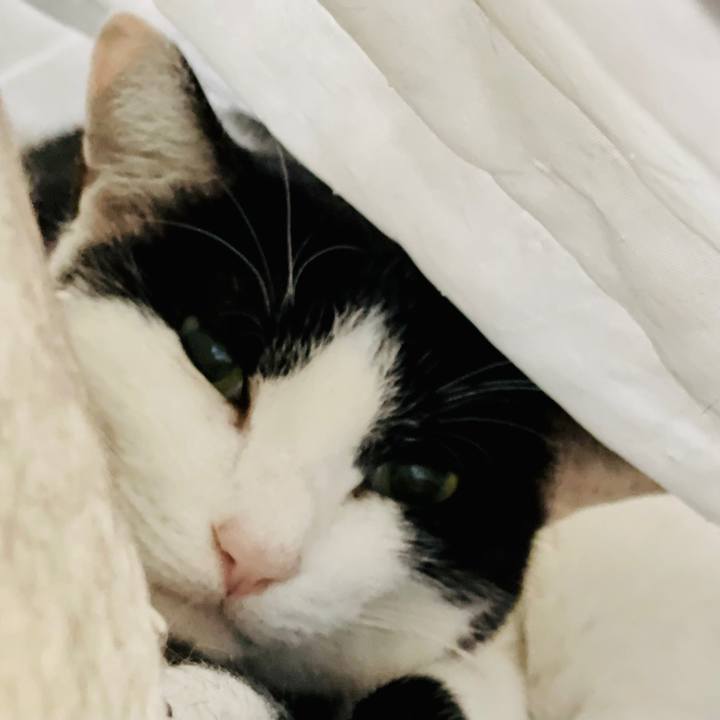 F67c9f75 c770 46c4 b8c3 b9d3014a292d 1610159529398