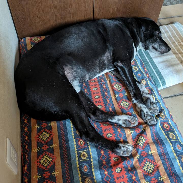 F67ca19c 1173 42d1 b084 8f81aa3a8894 1717114348539