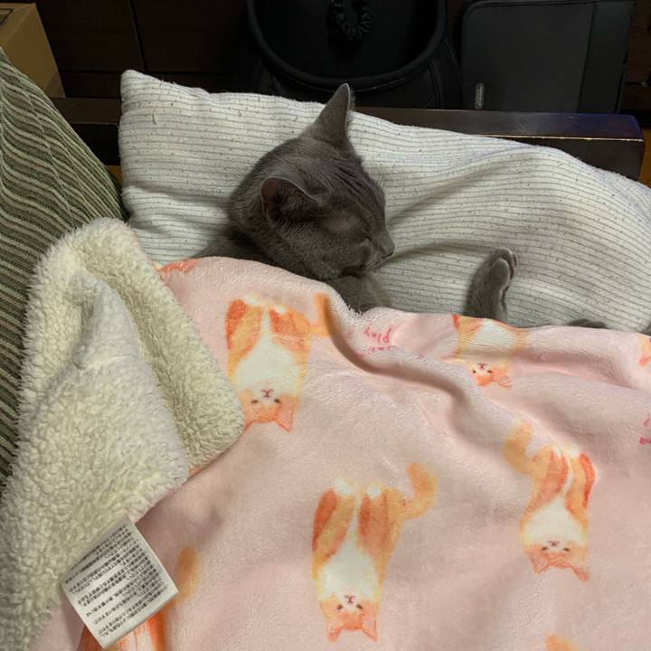 F67ca27a 6ba2 46c3 85c3 21701f830633 1603836598698