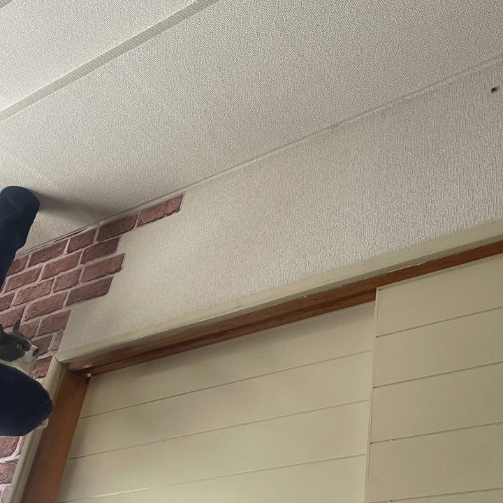 F67cc06b 93ae 48ad 9070 257046fcb445 1629000275229