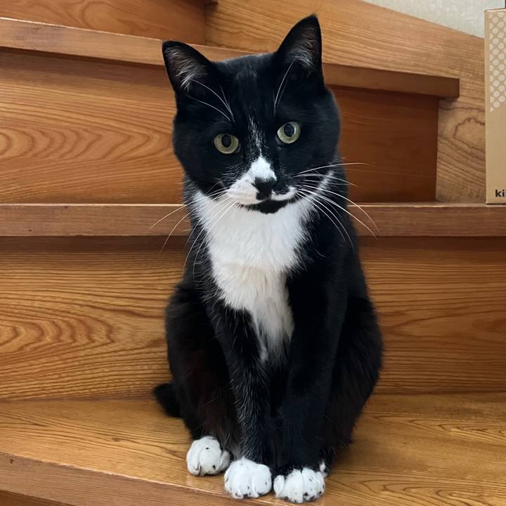 F67cd3cb cdb5 43e6 8cd7 f93f3ae7bf23 1759290149341