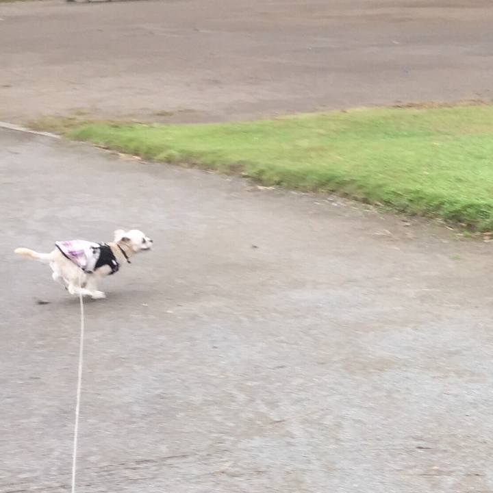 F67d251b 574a 42a6 86a9 c76c76a47a1e 1539585956029