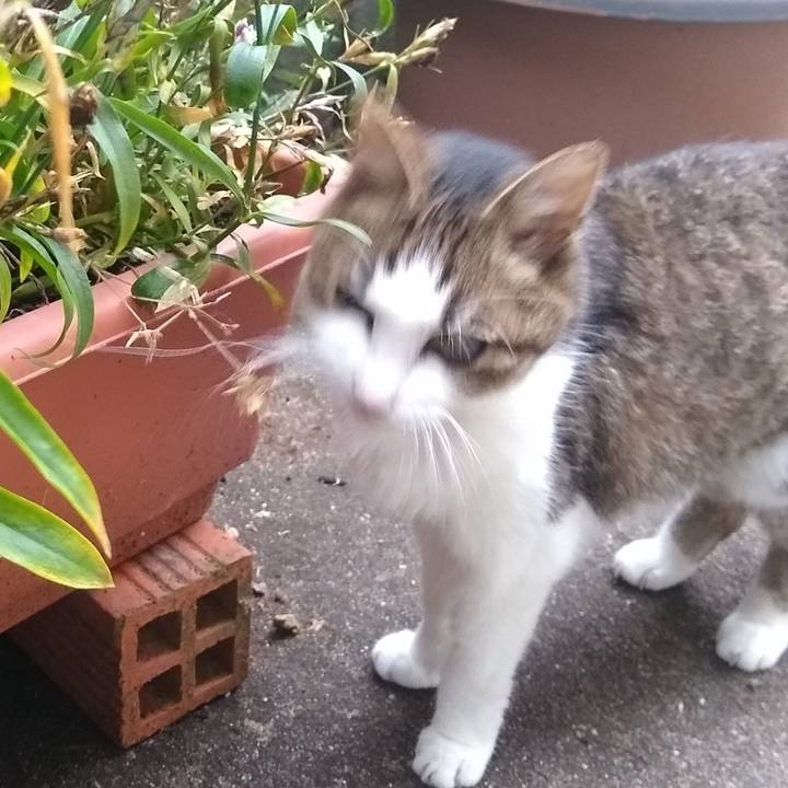 F67d3aa3 b89f 4771 ab30 a53c37b233da 1559301530110