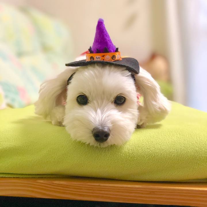 F67d9b49 66e5 4883 b5a7 111fde29e266 1572075317683