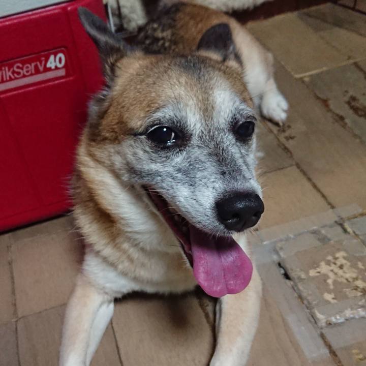 F67dbb5c 30db 4d0a a747 6c649e19674e 1569251071885