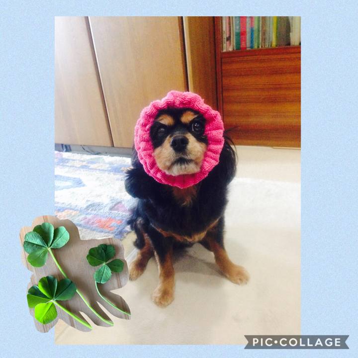 F67e094a 0b57 40a1 b90a d688a692b281 1558072464037