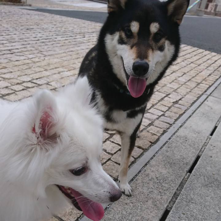 F67e32fa 1c00 4cca 926f 7daf9e06fa4e 1579677336480