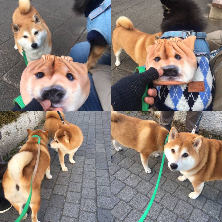 F67e560e 5e64 4e83 a703 d13fcff14983 1642417499885