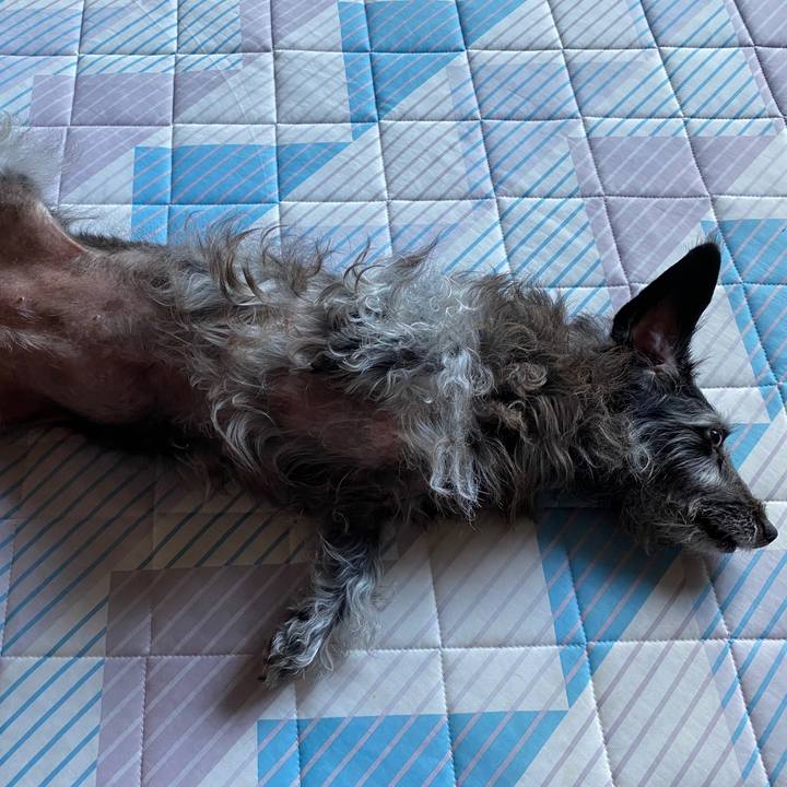 F67e59cf 297f 42db b0df f083343aa94c 1599174462792