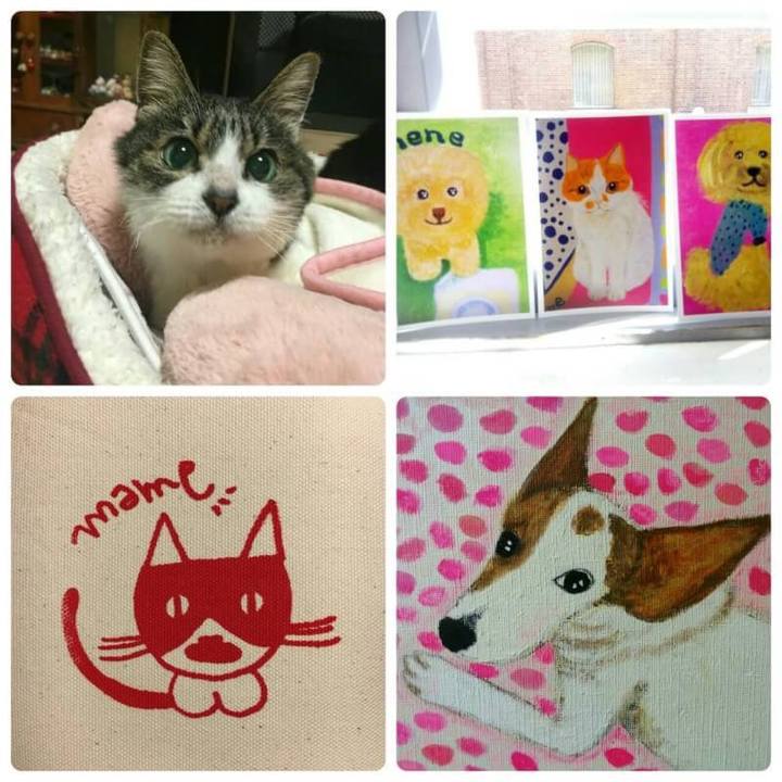 F67e6a8d 8caf 4d87 8878 a0f8b53174bd 1524398096474