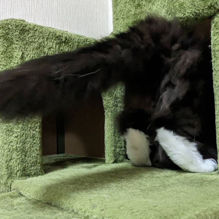 F67e8857 bb9e 4615 9e7e 20eae53fd00e 1681284044237