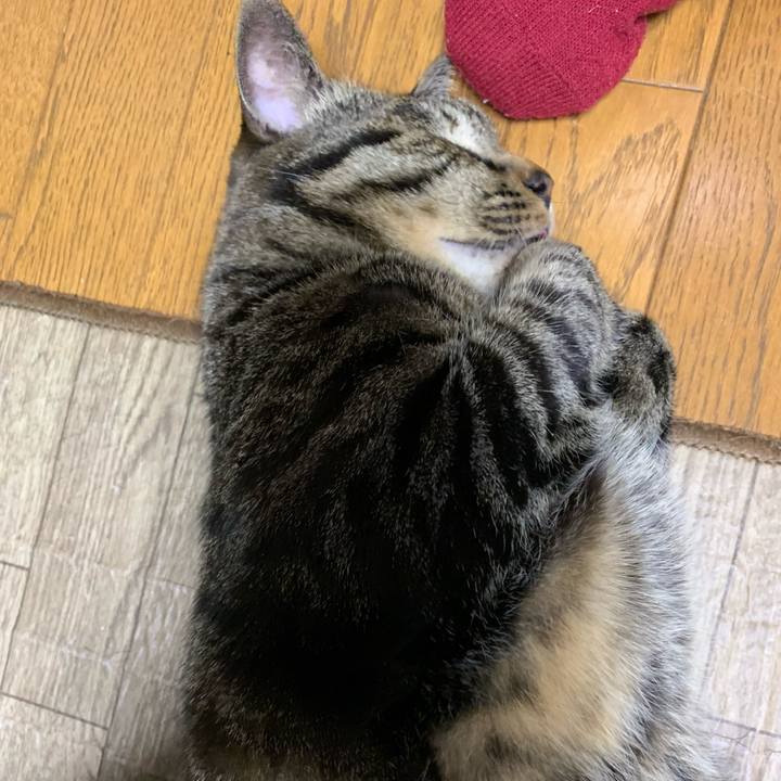 F67ed519 a898 4776 823a 2abba2857a5a 1586079598020