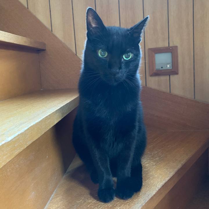 F67ed7f1 4352 4074 b8a0 bb27409cfd5a 1539568459831