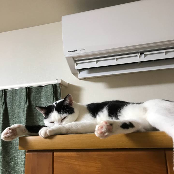 F67f396b 8ef6 4b56 8321 c39b11d09357 1550313675653