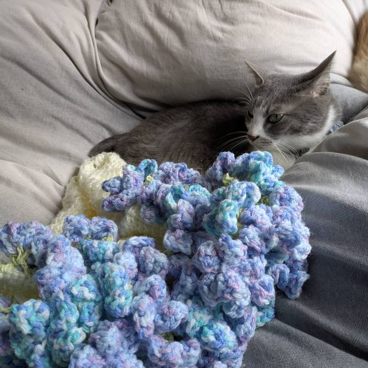 F67f40fc 4749 4c8f a133 f110e9736efc 1761955427170