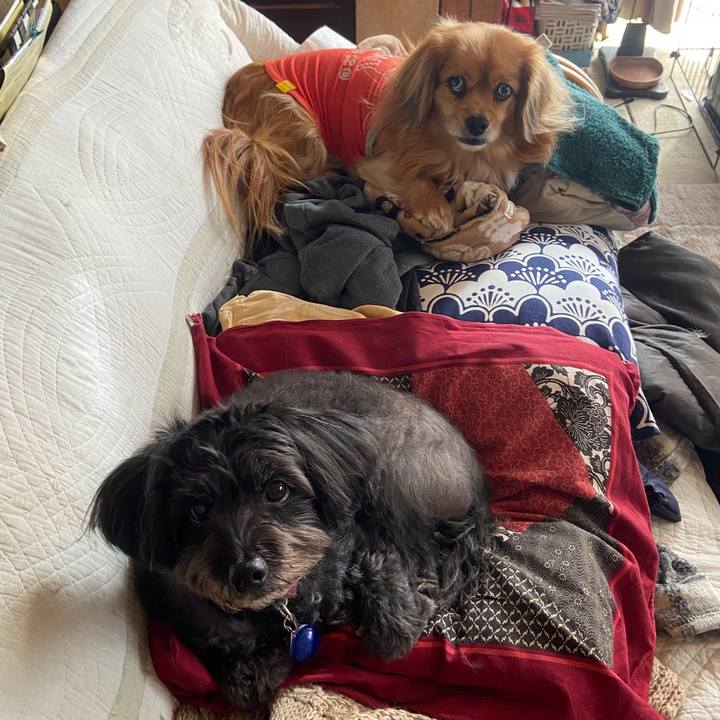 F67f6c01 e401 4845 bf9e 451dc53ec46a 1671500074164