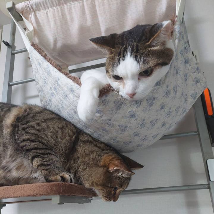 F67f9a83 251e 4111 9d01 f89d419c57d2 1694478890259