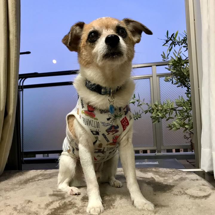 F67fc7d0 a1aa 4a9a 8a34 8f92a3e4af38 1624447805052