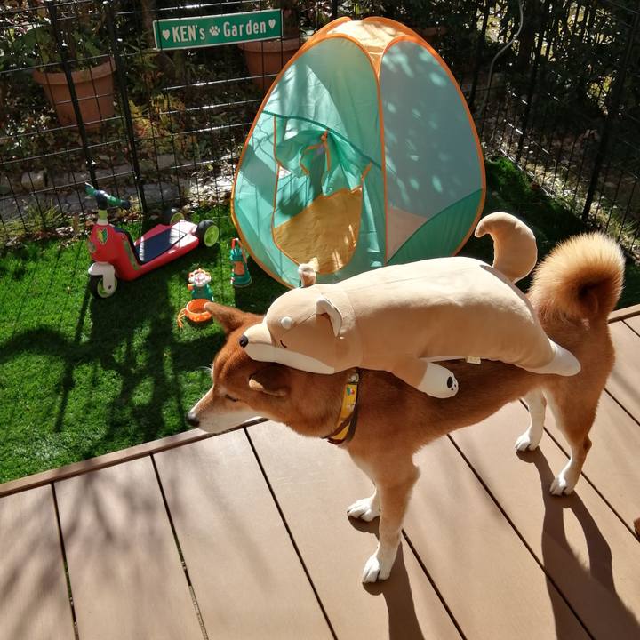 F67fef89 dc15 447b 8140 0776b0109b9a 1636608836651