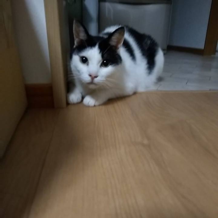 F67ff024 3b5e 4de2 ad9e c4eae27d5288 1566743467300