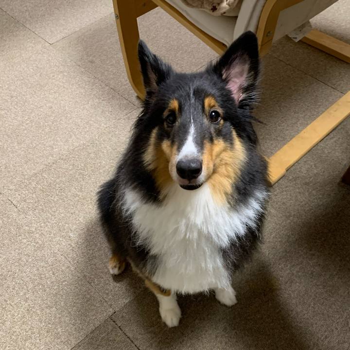 F6805f61 3cd3 49ef bfe1 94bb50d84f2e 1599911989337