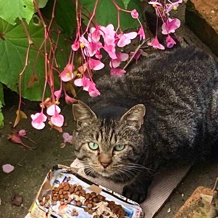 F68070b0 74c9 4c20 9c6b 967ac8b0de4b 1632455213030