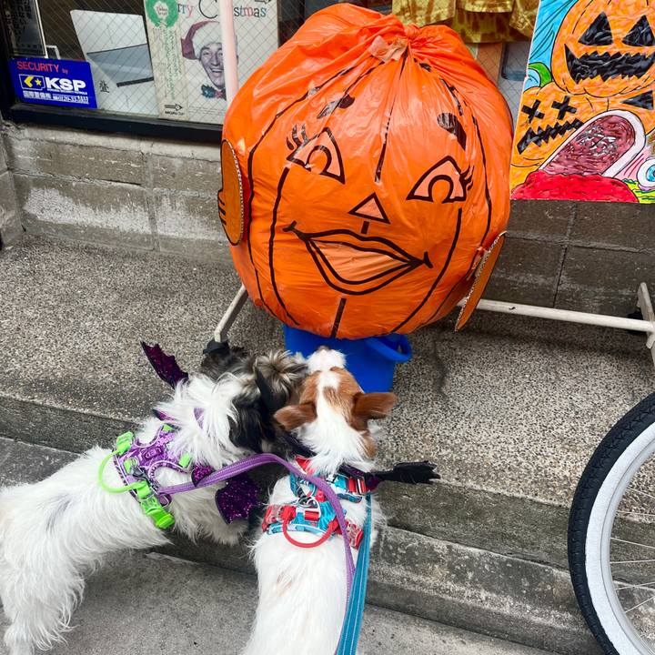 F68097be c128 4b9c 9220 6657237a140b 1761906876110